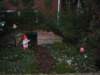 Photo Number 3