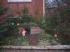 Photo Number 5