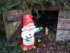 Photo Number 8