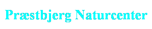 Tekstboks: Pr�stbjerg Naturcenter
